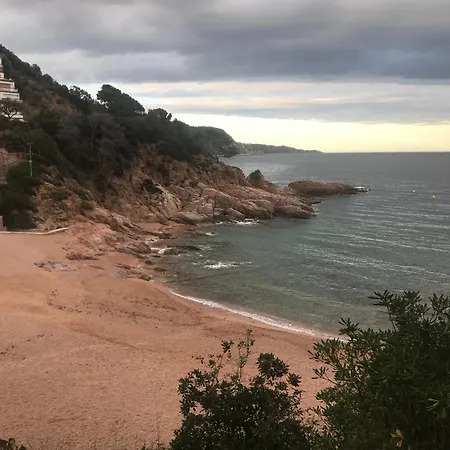 아파트 Wonderful Loft In Cala Salionc *