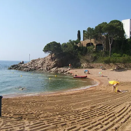 Wonderful Loft In Cala Salionc 아파트